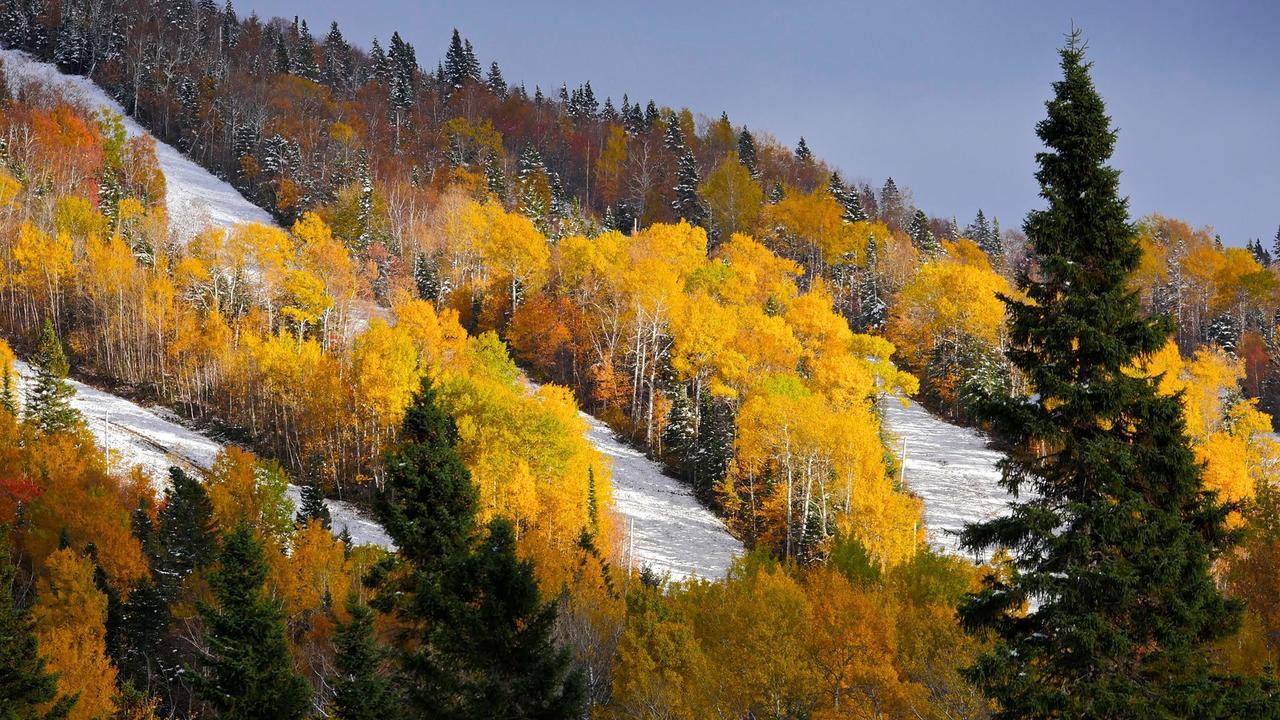 Les Bouleaux - Les Chalets Spa Canada La Malbaie Buitenkant foto